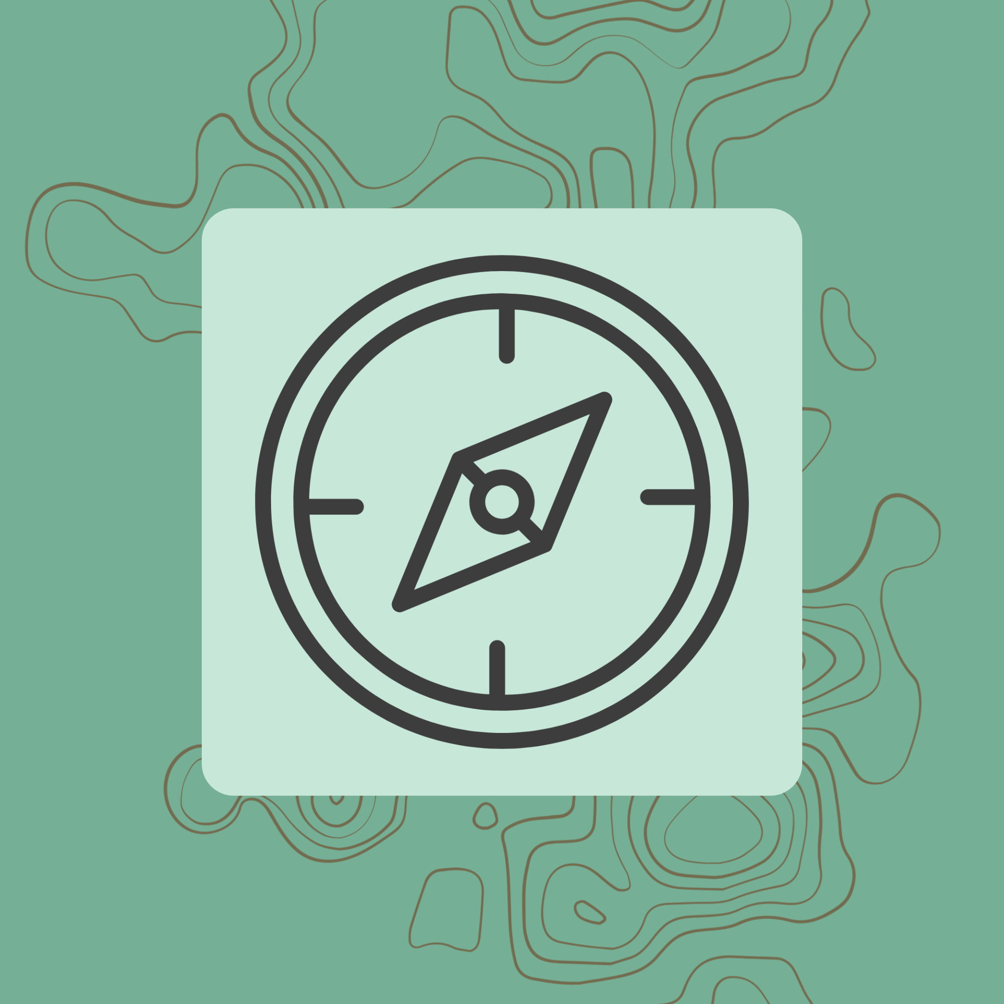 Terravia compass logo